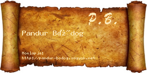Pandur Bódog névjegykártya